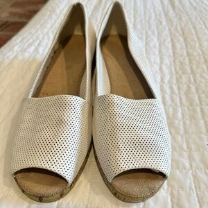 Aerosols walking shoe with small wedge